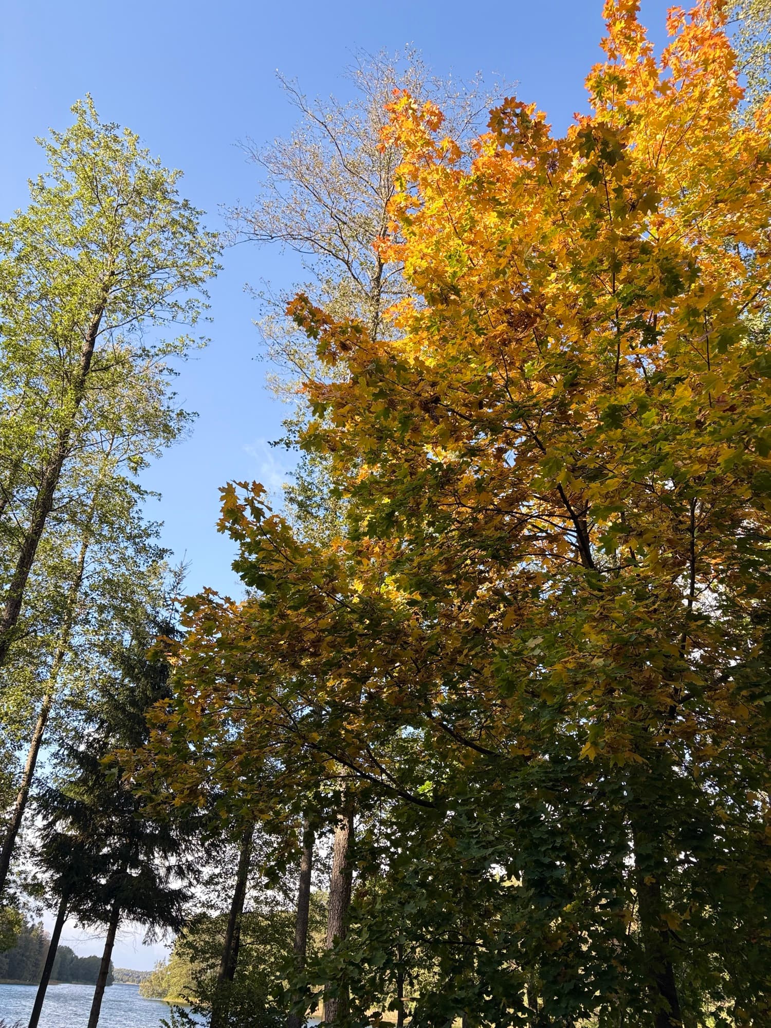 Laumės Slėnis