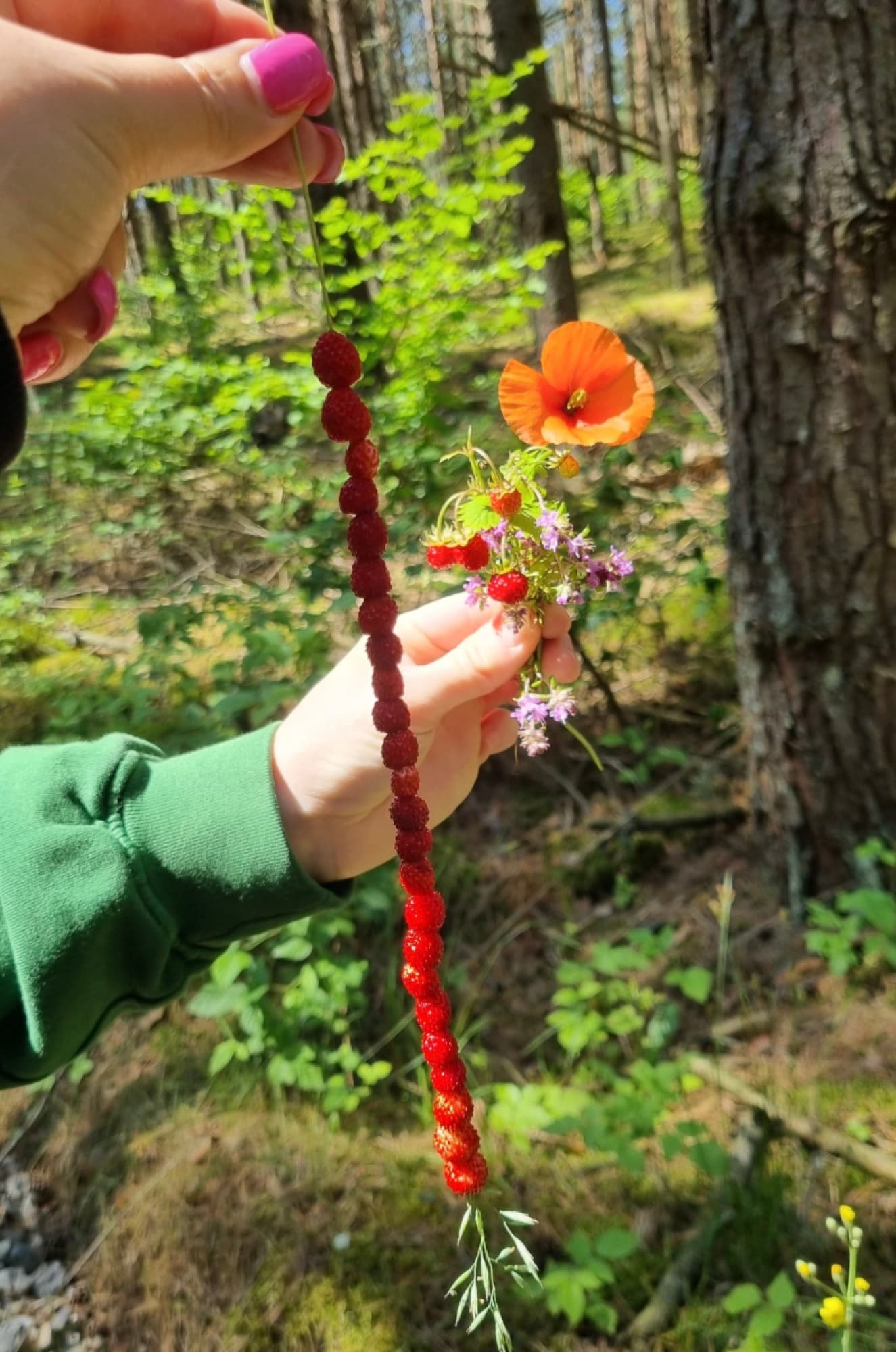 Wild strawberries on a stem and a forest wildflower bouquet